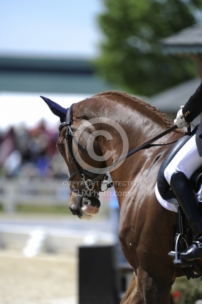Karen O'Connor and Mr. Medicott Rolex 2012