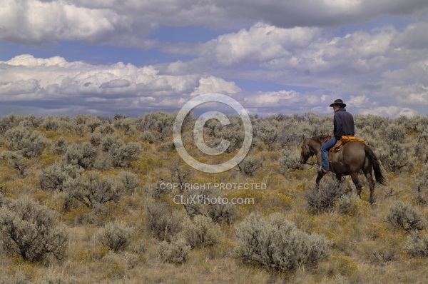 Riding in Wyoming with blue Sky Sage Adventures