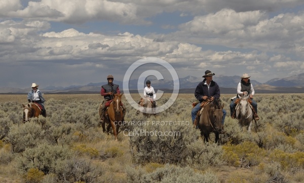 Riding in Wyoming with blue Sky Sage Adventures