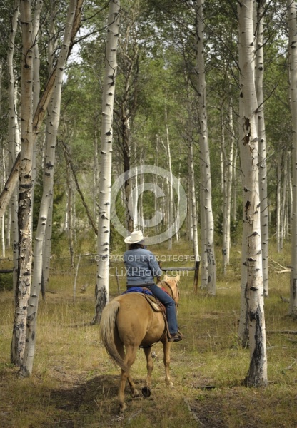 Riding in Wyoming with blue Sky Sage Adventures