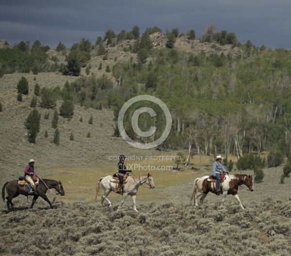 Riding in Wyoming with blue Sky Sage Adventures