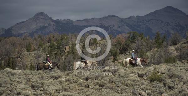 Riding in Wyoming with blue Sky Sage Adventures