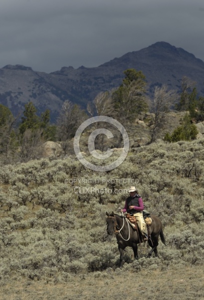 Riding in Wyoming with blue Sky Sage Adventures