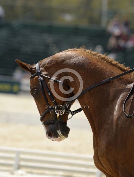 Bonner Carpenter & Acapulco Jazz, Rolex 2009