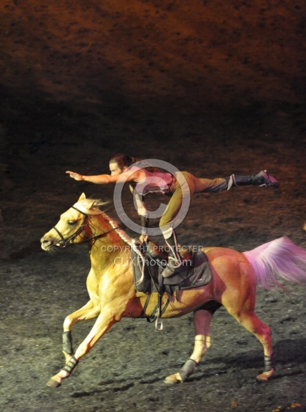 Cavalias Odysseo Quarter Horse Trick Riding