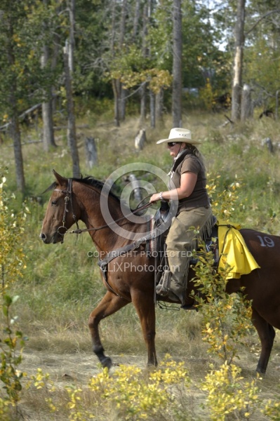 Trail Riding Western