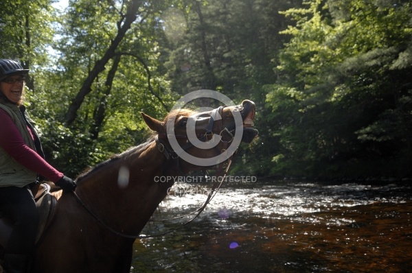 Trail Riding English