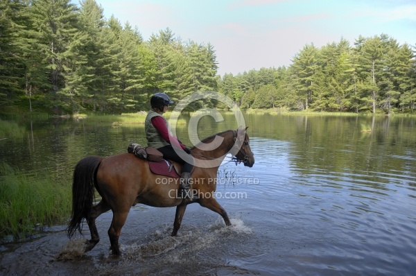 Trail Riding English