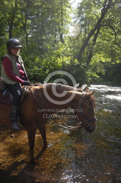 Trail Riding English