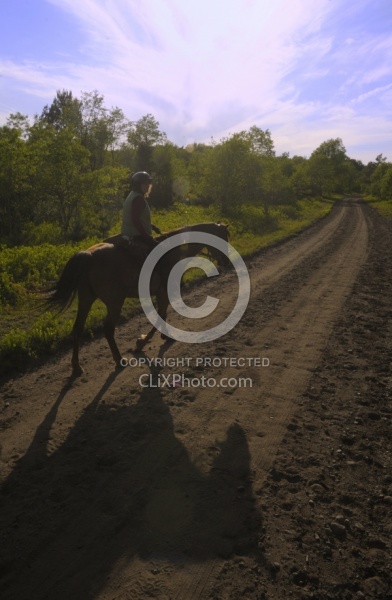 Trail Riding English