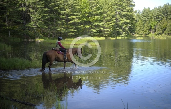 Trail Riding English