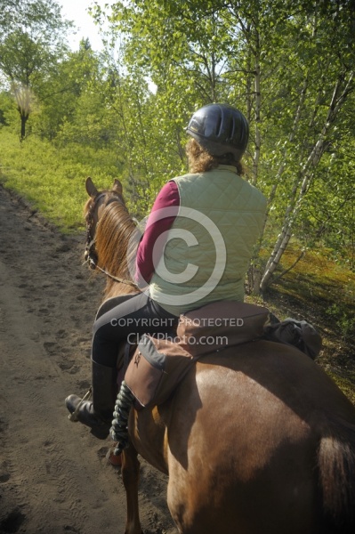 Trail Riding English