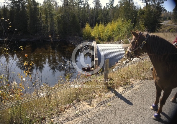 Encounters on the Trail