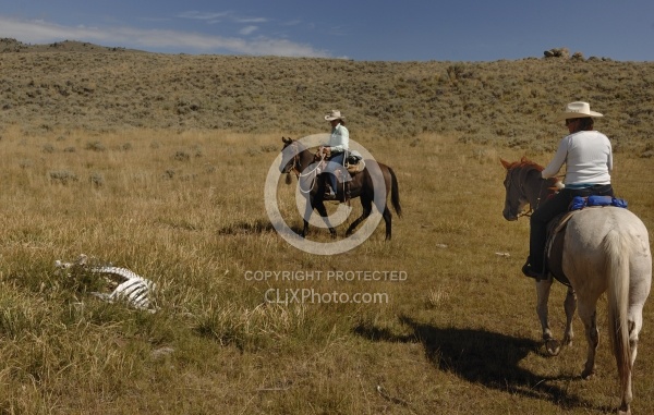 Encounters on the Trail
