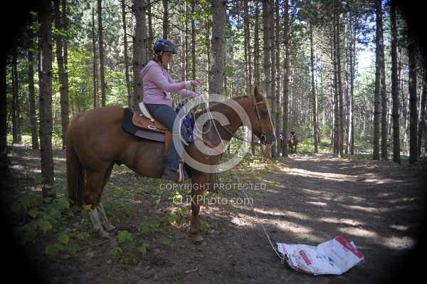 Trail Riding Desensitizing