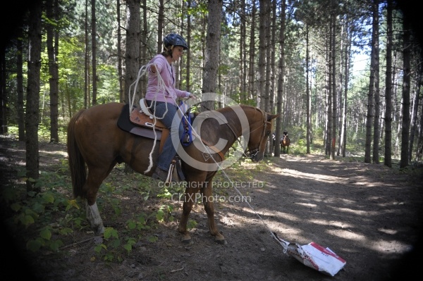 Trail Riding Desensitizing