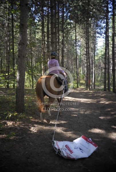 Trail Riding Desensitizing