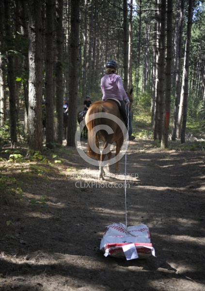 Trail Riding Desensitizing
