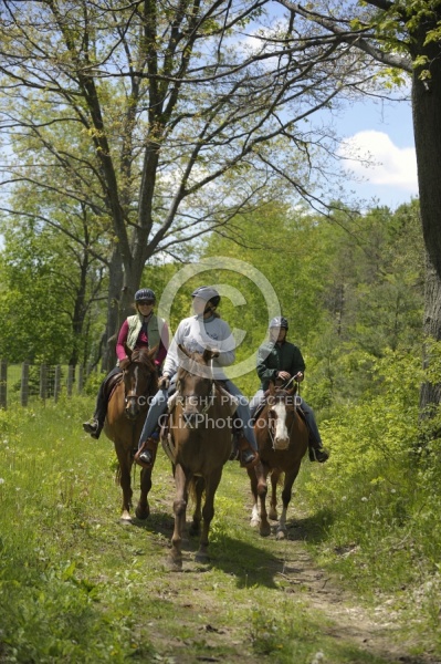 Trail Riding group