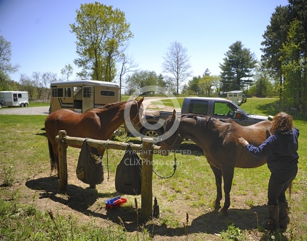 Brushing after Ride
