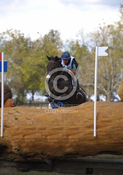 Karen O'Connor and Mandiba WEG 2010