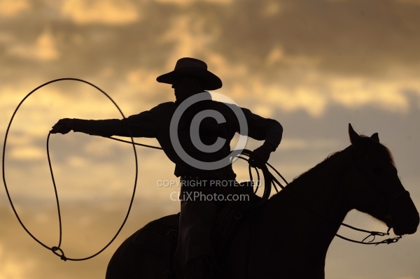 Lasso in the Sunset