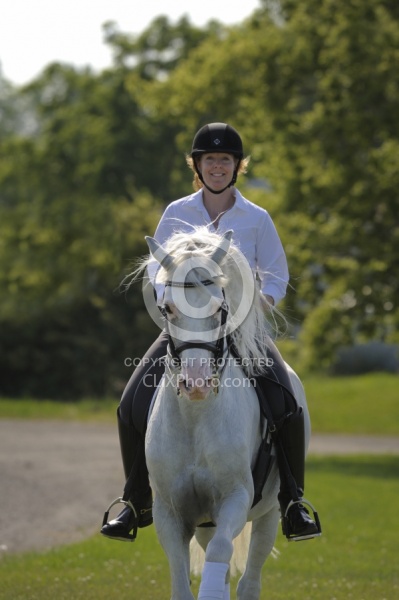 Lusitano Under Saddle