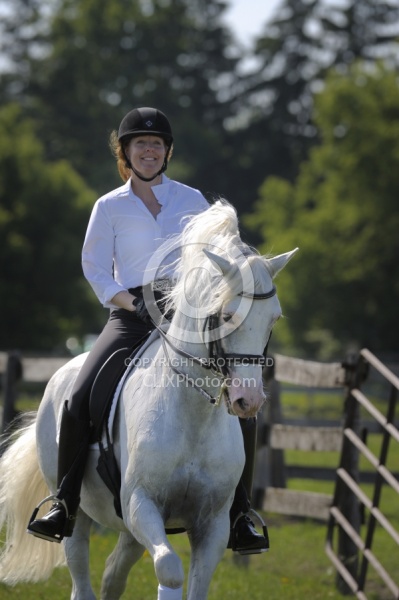Lusitano Under Saddle