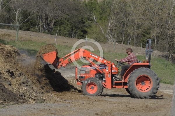Manure Removal