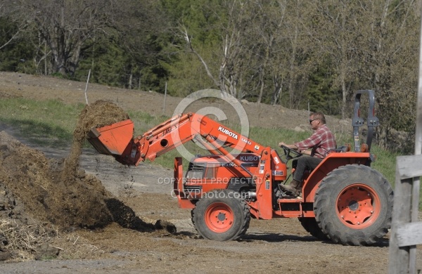 Manure Removal