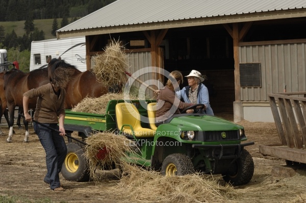 Cleaning Paddocks
