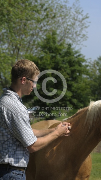 Vet Giving Vaccinations