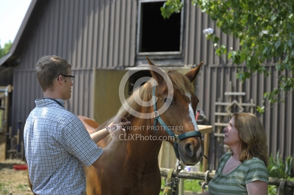 Vet Giving Vaccinations