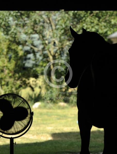 Fan in Barn