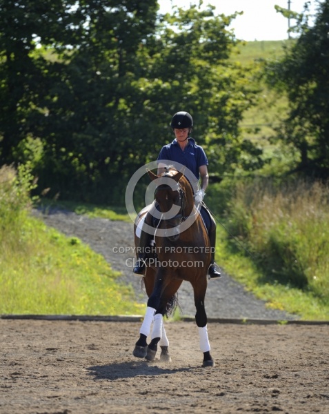Oldenburg Schoolng Dressage