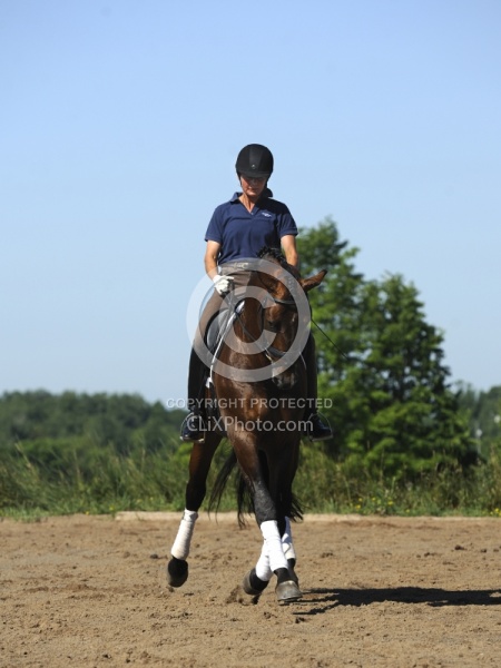 Oldenburg Schoolng Dressage