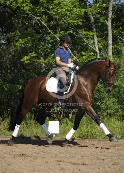 Oldenburg Schoolng Dressage