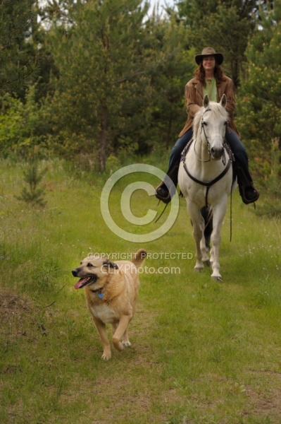 Trail Riding with Dogs
