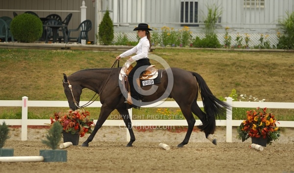 Trail Class Lope Over