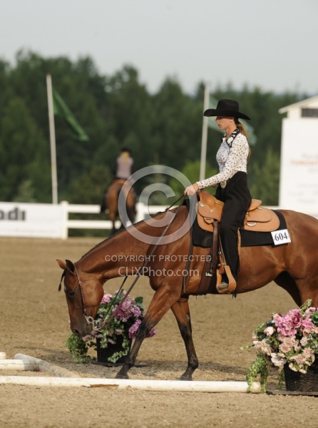 Quarter Horse Show Palgrave 2012 Trail Class The Turn Around