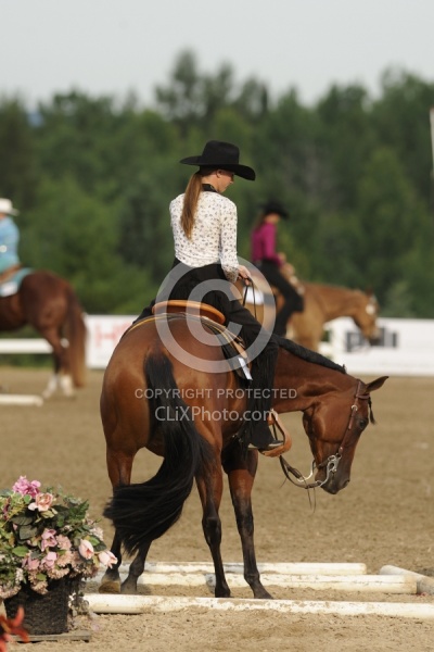 Quarter Horse Show Palgrave 2012 Trail Class The Turn Around