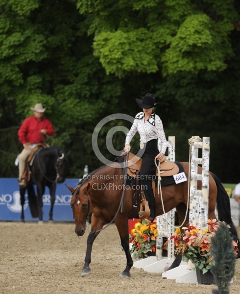 The Rope Gate in Trail Class