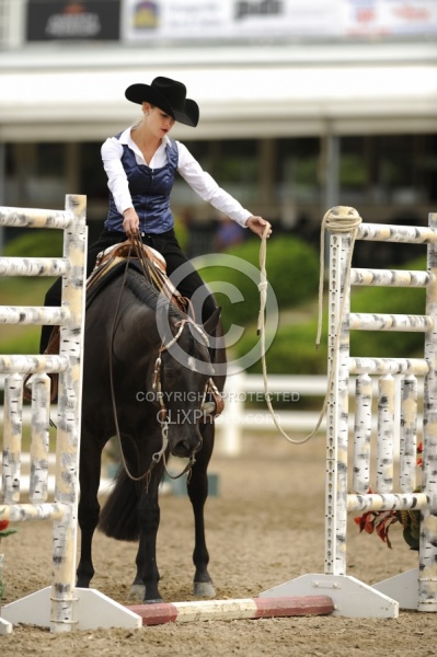 The Rope Gate in Trail Class
