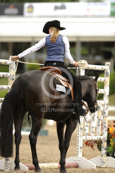 The Rope Gate in Trail Class at Quarter Horse Show, Palgrave 2012