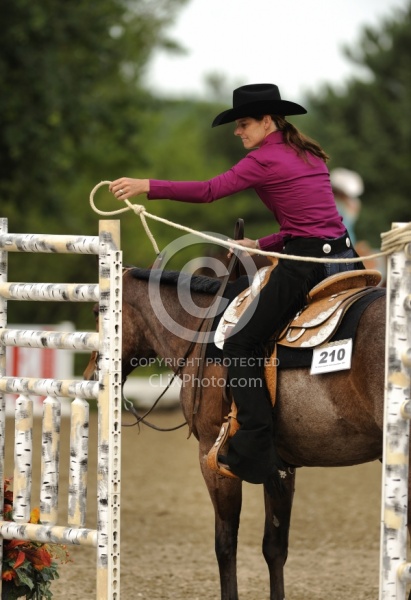 The Rope Gate in Trail Class at Quarter Horse Show, Palgrave 2012