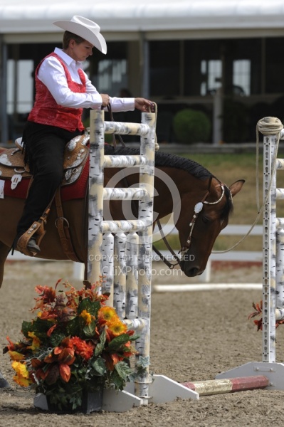 The Rope Gate in Trail Class at Quarter Horse Show, Palgrave 2012
