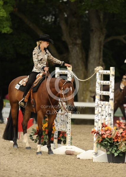 The Rope Gate in Trail Class at Quarter Horse Show, Palgrave 2012