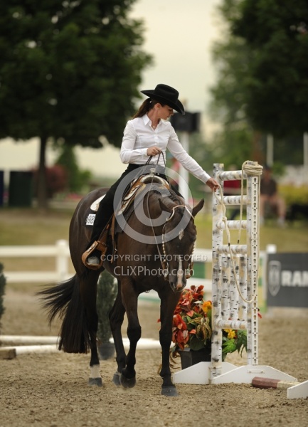The Rope Gate in Trail Class at Quarter Horse Show, Palgrave 2012