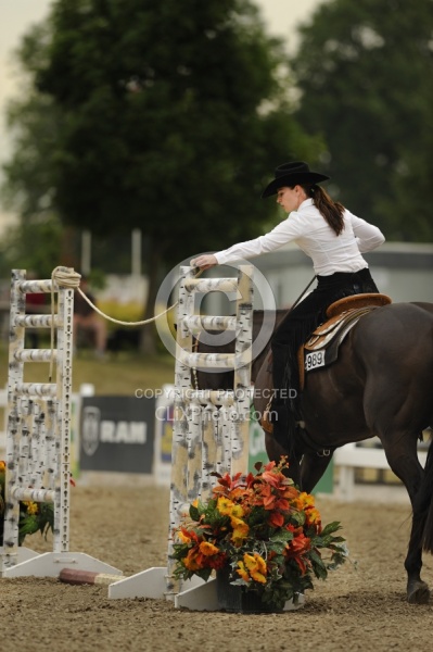 The Rope Gate in Trail Class at Quarter Horse Show, Palgrave 2012