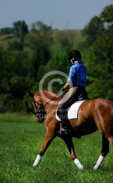 Oldenburg Schooling Dressage Outside of the Arena